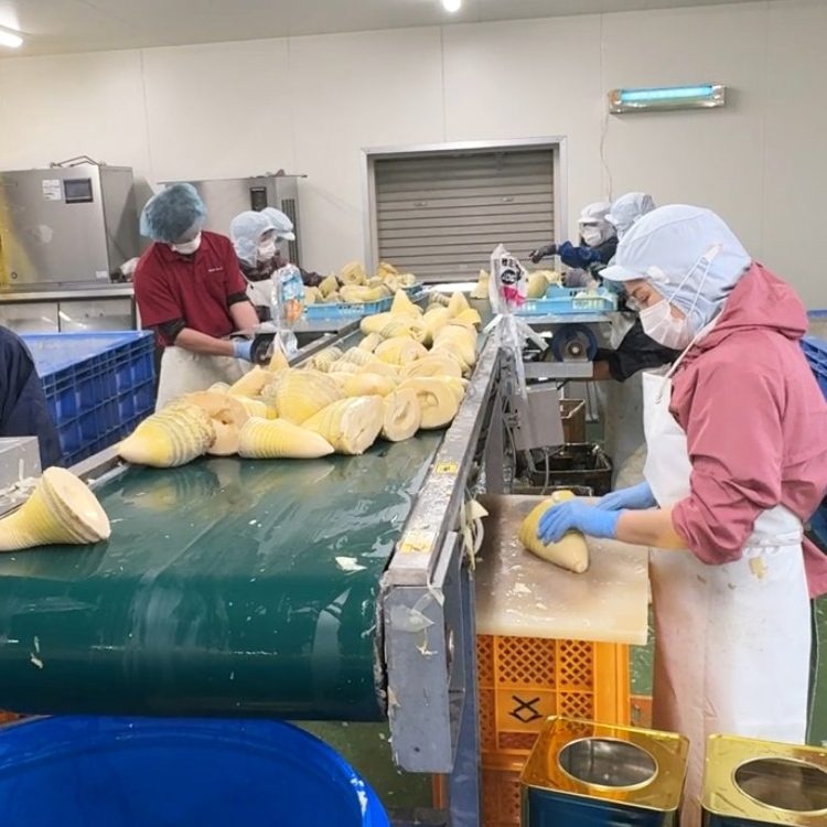 製造部門